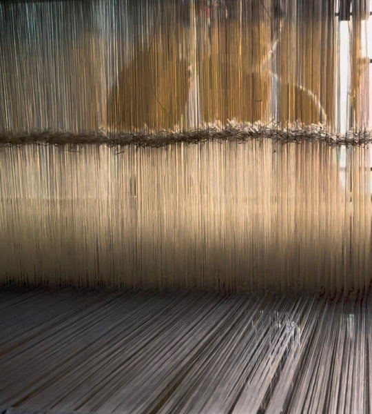 THREADS OF KANCHIPURAM